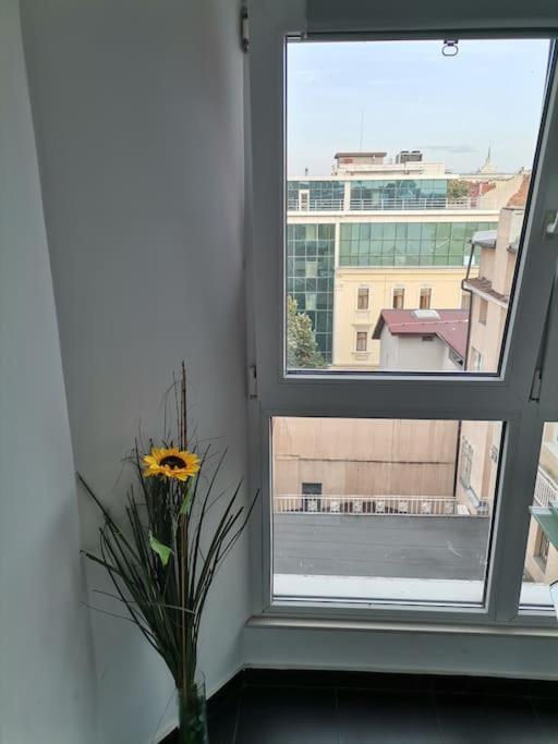 Sky-View Apartmentin Perfect City Center ソフィア エクステリア 写真